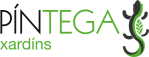 Logo_Pintega_57